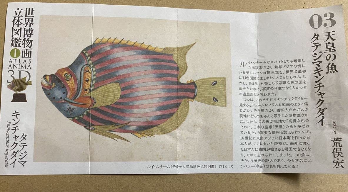 海洋堂 - 新江ノ島水族館限定 海洋堂 世界博物画立体図鑑 1 全8種セット/未開封 海洋堂 - 新江ノ島水族館限定 海洋堂 世界博物画立体図鑑 1 全8
